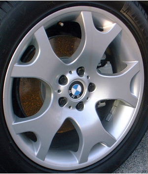01-06 BMW X5 19x9 Flared Forked 5 Spoke 1096231 SILVER FRONT - ST 63