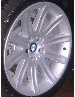 02-08 BMW 745I/750I/760I 19x10 Rear Dished Grooved 10 Spoke SILVER REAR - ST 95